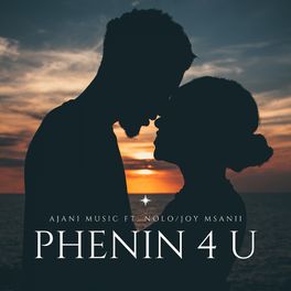 Ajani Music - Phenin 4 U.jpg